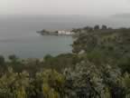 Zasteni